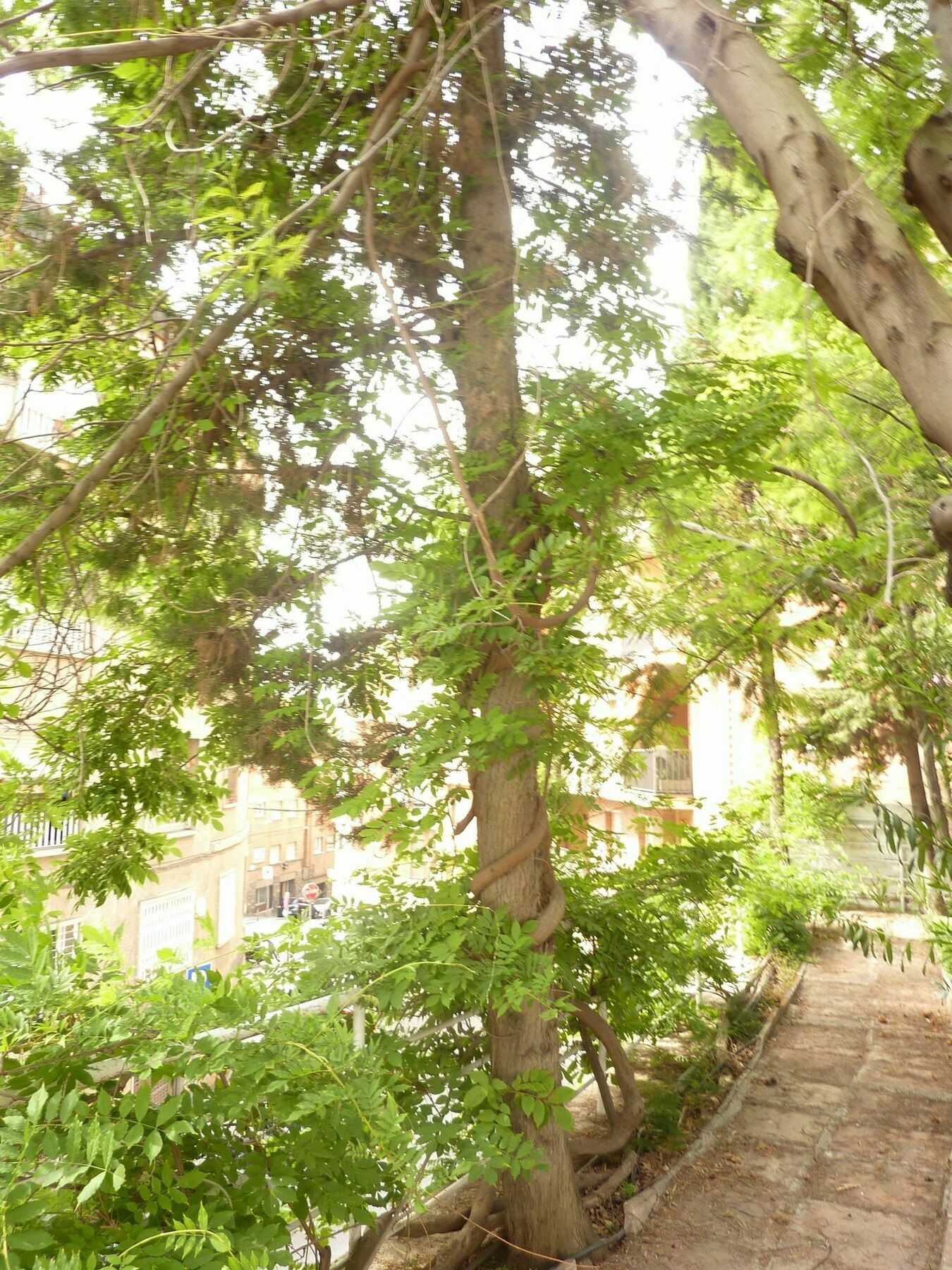 Casa Vilaro Barcelona Eksteriør billede